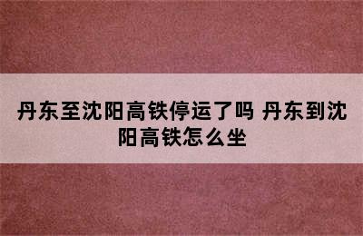 丹东至沈阳高铁停运了吗 丹东到沈阳高铁怎么坐